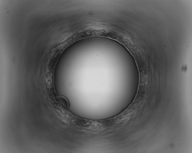 X0000100331109200806121121