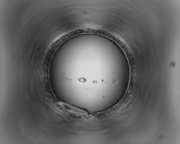 X0000100331112200806121121