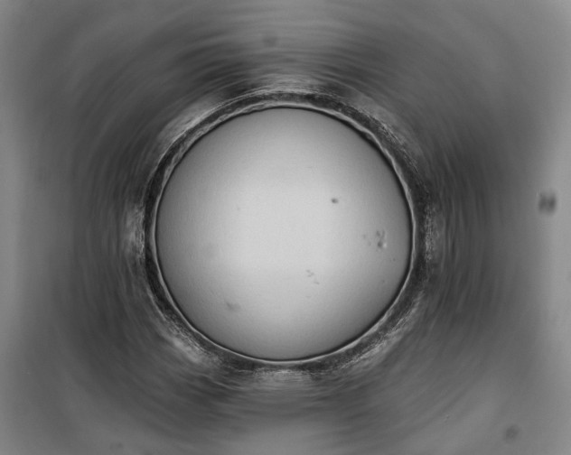 X0000100331113200806121121