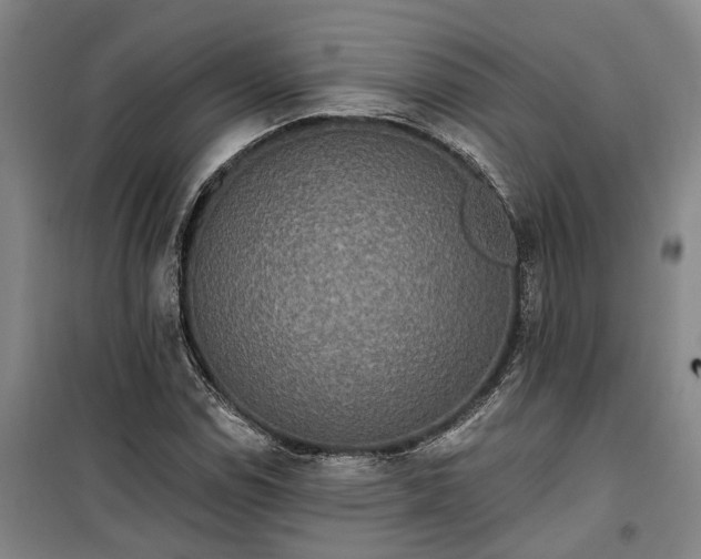 X0000100331114200806121121