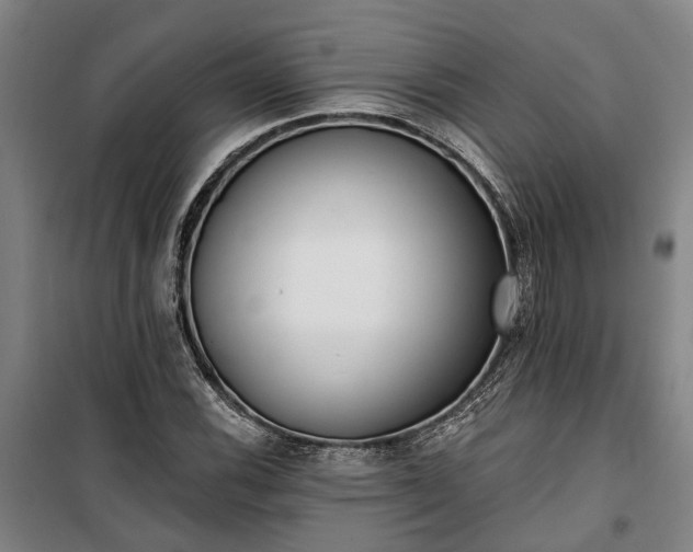 X0000100331116200806121121