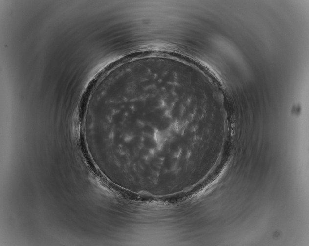 X0000100331117200806121121