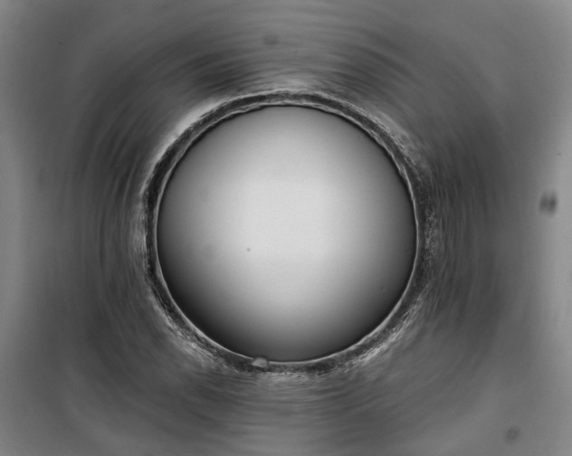 X0000100331118200806121121