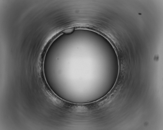 X0000100331119200806121121