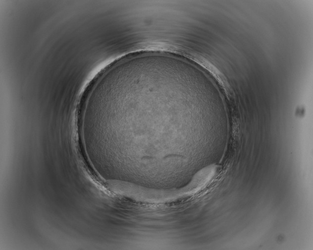 X0000100331120200806121121