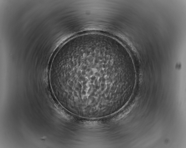 X0000100331121200806121121