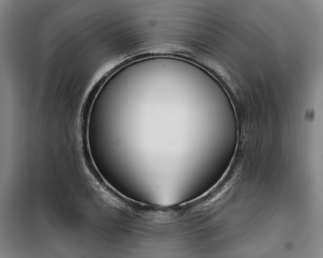 X0000100331122200806121121