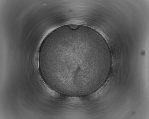 X0000100331123200806121121