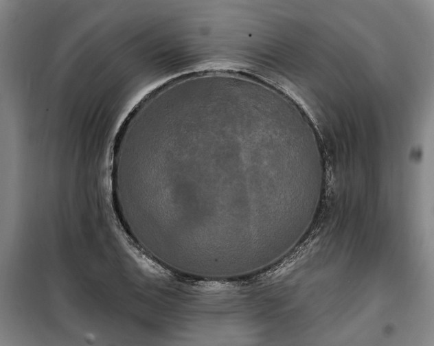 X0000100331124200806121121