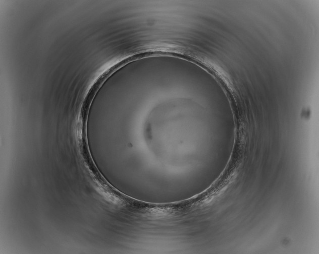 X0000100331125200806121121