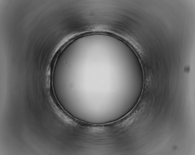 X0000100331126200806121121