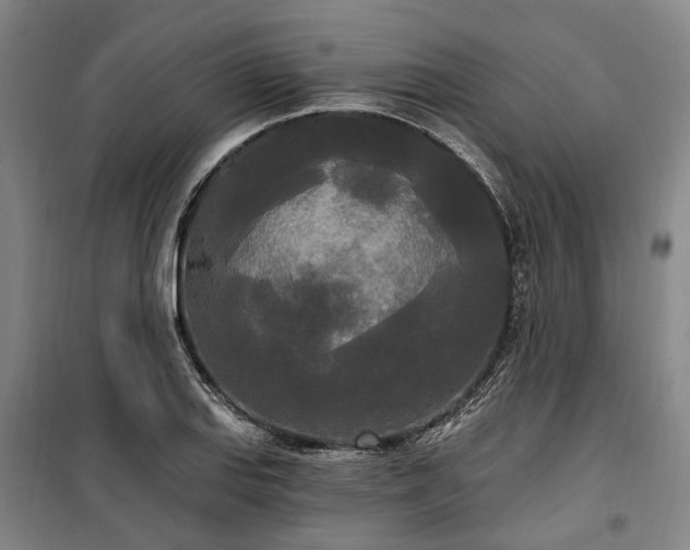 X0000100331127200806121121