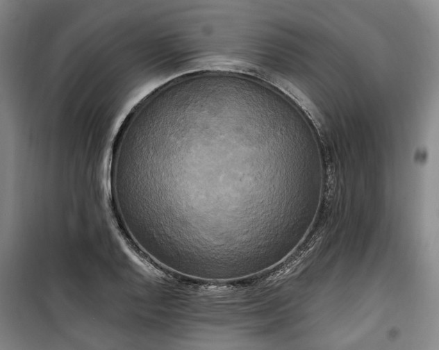 X0000100331128200806121121