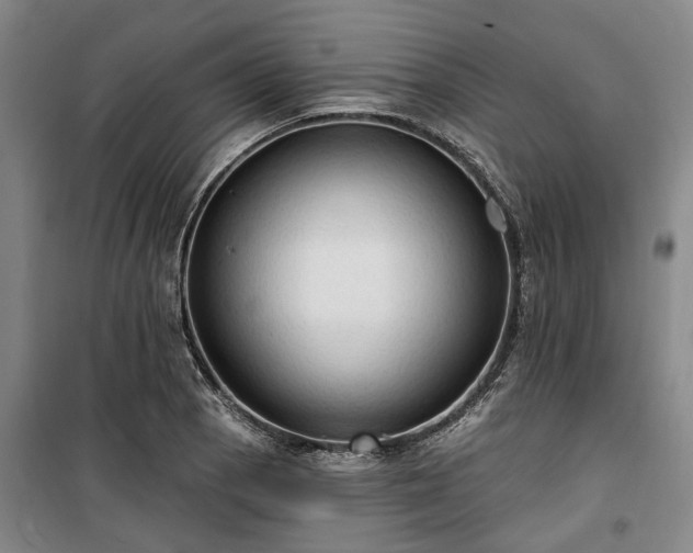 X0000100331129200806121121