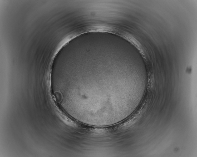 X0000100331130200806121121