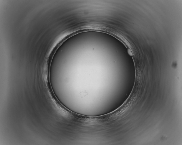 X0000100331131200806121121