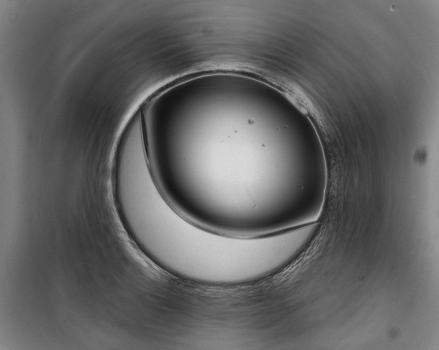 X0000100331132200806121121