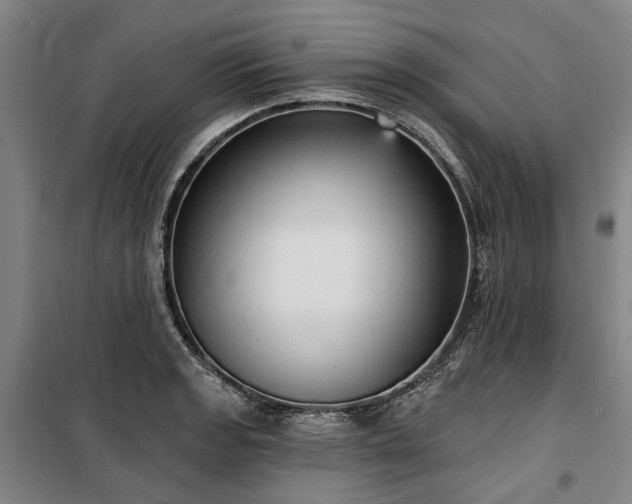 X0000100331133200806121121