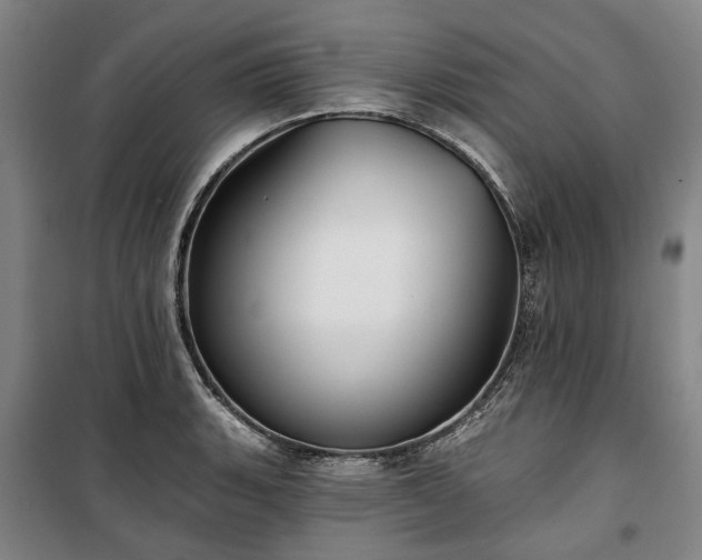 X0000100331135200806121121