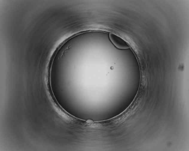 X0000100331136200806121121