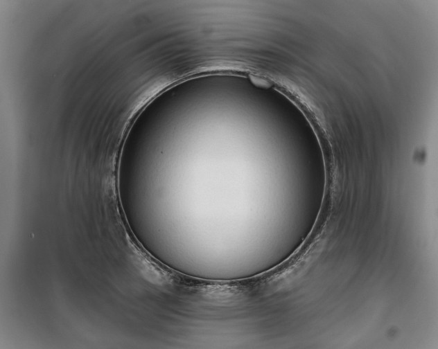 X0000100331137200806121121