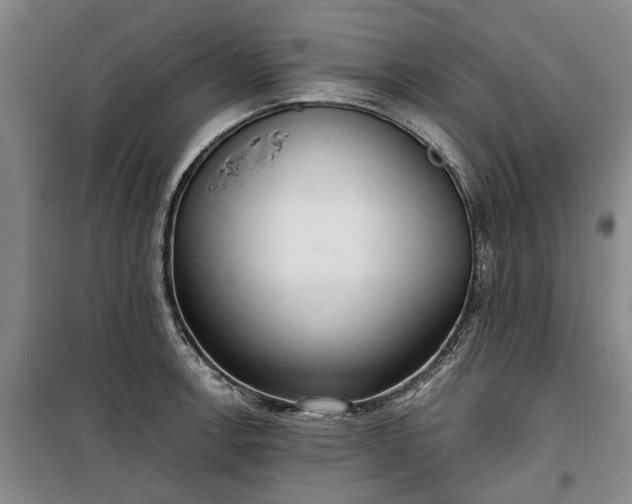 X0000100331138200806121121