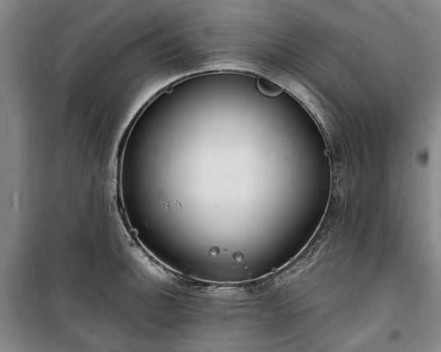 X0000100331140200806121121