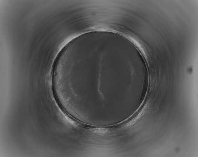 X0000100331141200806121121