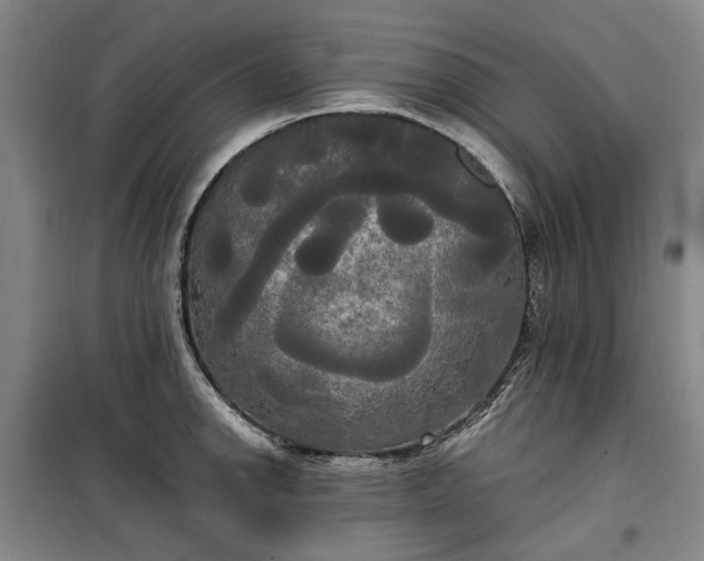 X0000100331142200806121121