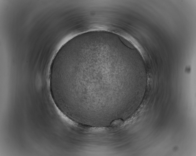 X0000100331143200806121121