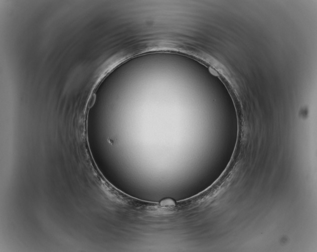 X0000100331145200806121121