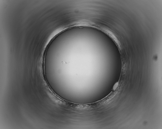 X0000100331146200806121122