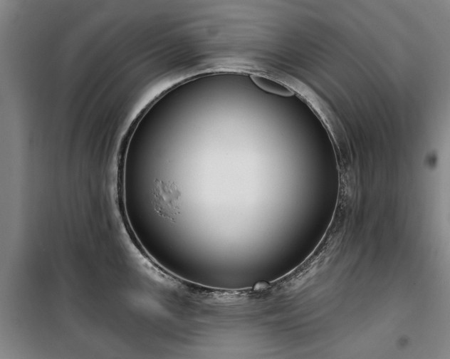 X0000100331147200806121122