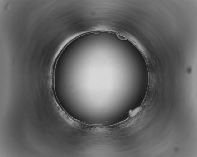 X0000100331148200806121122