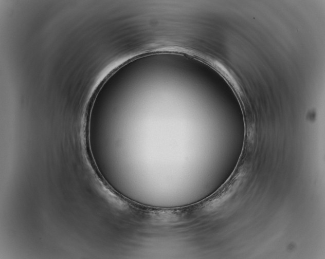 X0000100331149200806121122