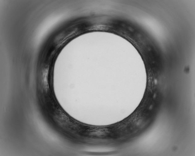 X0000100331150200806121122