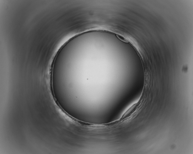 X0000100331151200806121122