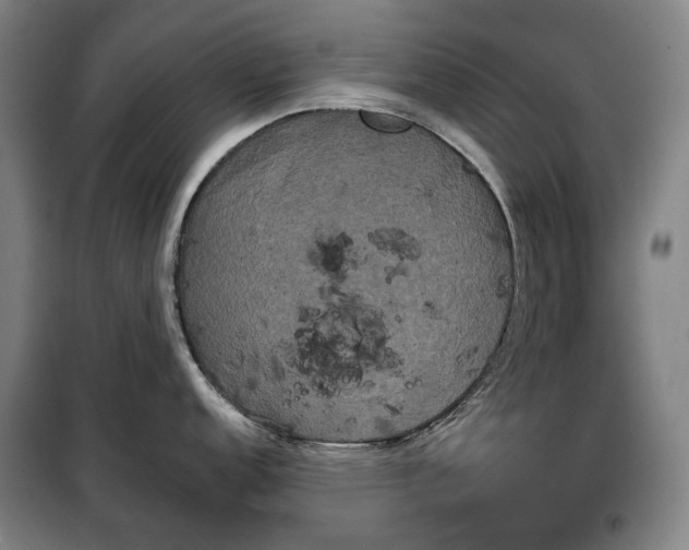 X0000100331152200806121122