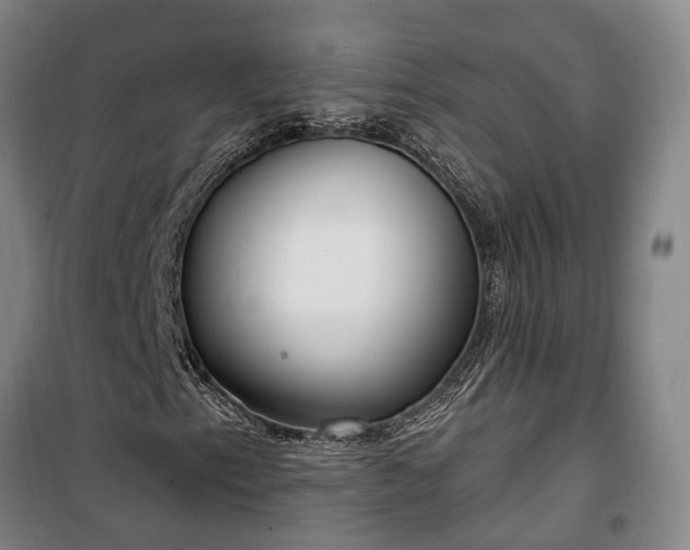 X0000100331153200806121121