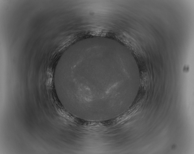 X0000100331154200806121121