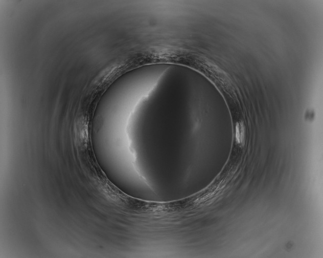 X0000100331155200806121121