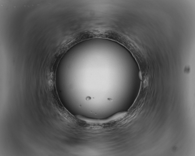 X0000100331156200806121121