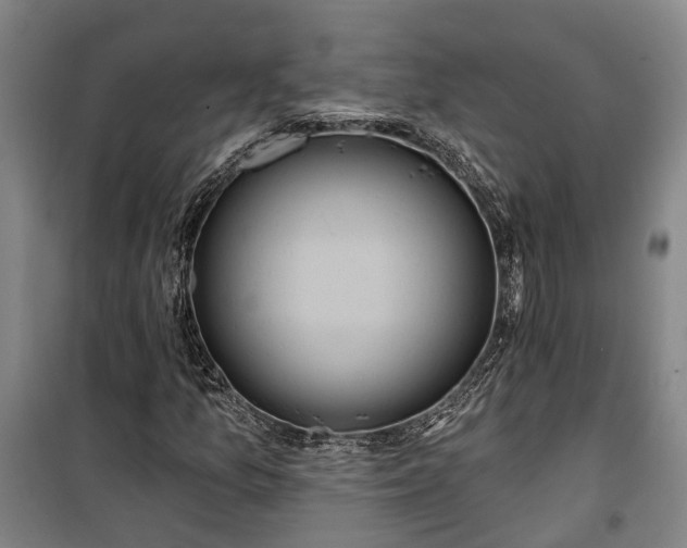 X0000100331157200806121121