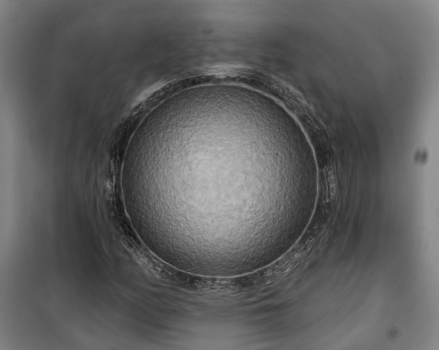 X0000100331158200806121121