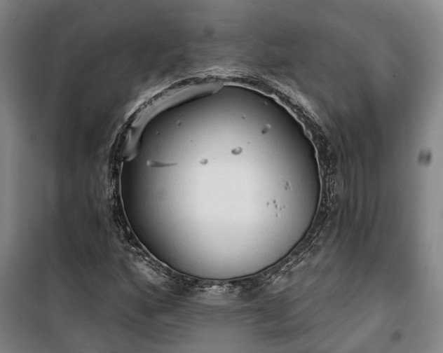 X0000100331160200806121121