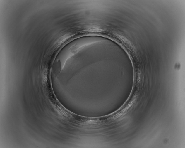 X0000100331161200806121121