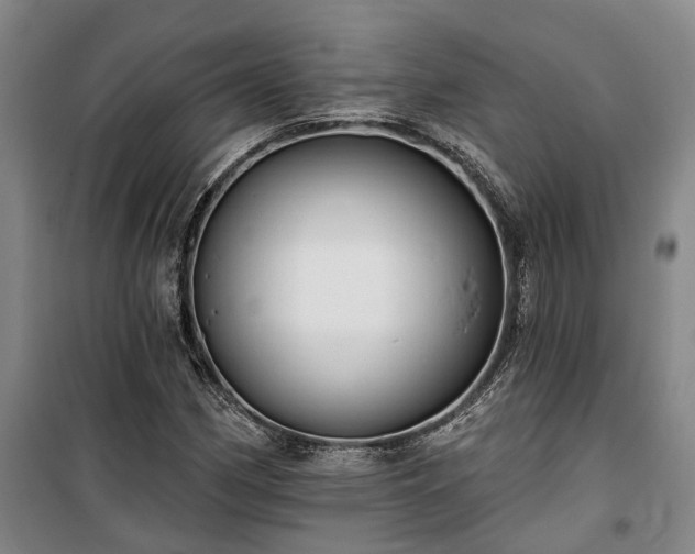 X0000100331162200806121121