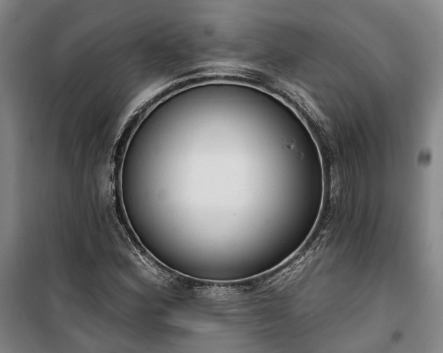 X0000100331164200806121121