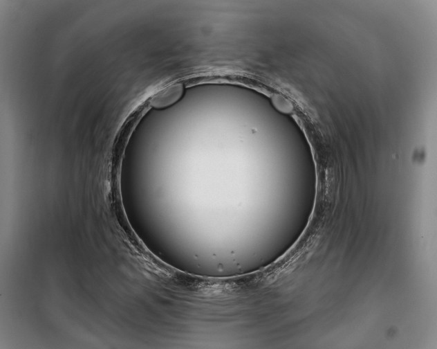 X0000100331165200806121121