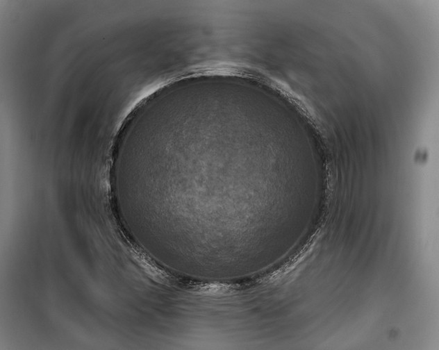 X0000100331166200806121121